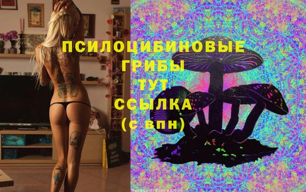 винт Абинск