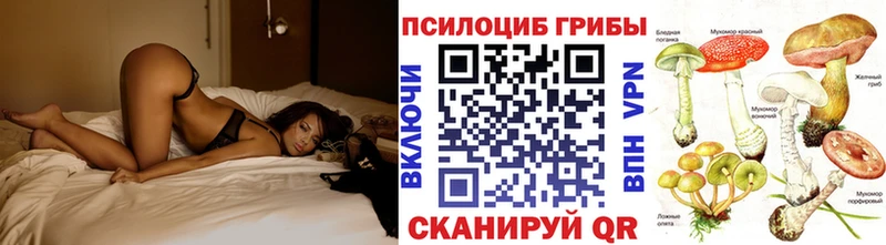 Псилоцибиновые грибы мицелий  цены наркотик  Гусиноозёрск 